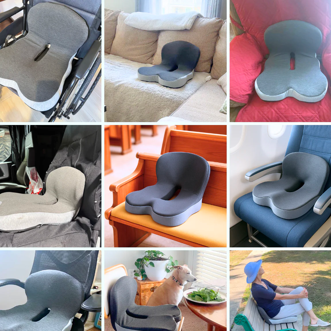 Coussin d'assise orthopedique anti-douleur - Powlys